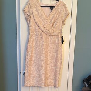 Adrianna Papell Blush Lace Midi Dress